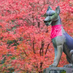 【秋の京都】定番から穴場まで！宇治・伏見の秋におすすめなスポットをご紹介！