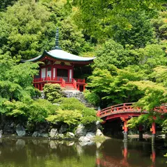 【京都カップル観光】デートにおすすめ！宇治・伏見の観光スポットをご紹介！