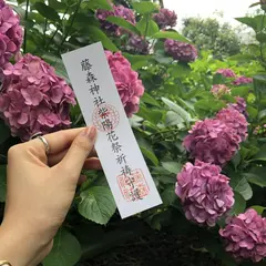 【雨の日京都】突然の雨でも安心！宇治・伏見のおすすめスポットをご紹介