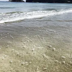 弓ヶ浜