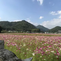 21年 三田駅 兵庫県 周辺のおすすめスポットランキングtop Holiday ホリデー