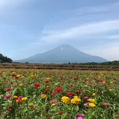 21年 山梨のおすすめ花スポットランキングtop Holiday ホリデー