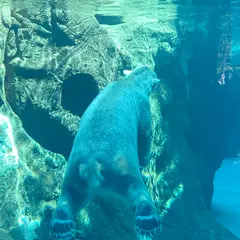 21年 神奈川のおすすめ動物園ランキングtop19 Holiday ホリデー