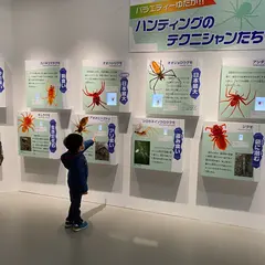 21年 東京のおすすめ博物館スポットランキングtop Holiday ホリデー