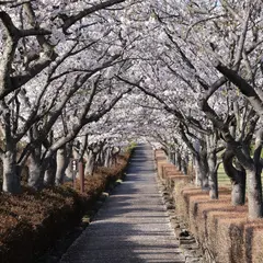 鎌倉霊園