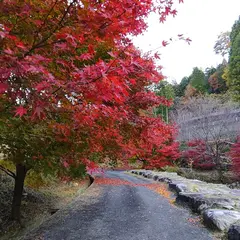 島田公園 (もみじ公園)