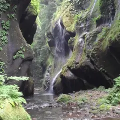 （株）由布川峡谷観光社