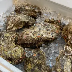 ささ川