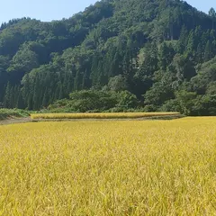 根城館跡