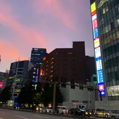 イビス東京新宿