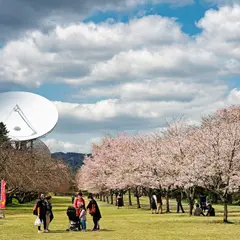 高萩市衛星通信記念公園(さくら宇宙公園)