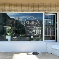 Shelby.AKI