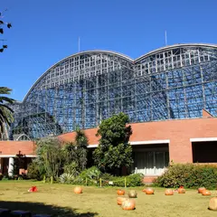 夢の島公園 熱帯植物館