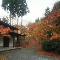 呑山観音寺参拝者用大駐車場