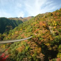 五木五家荘県立自然公園