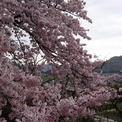 常山公園
