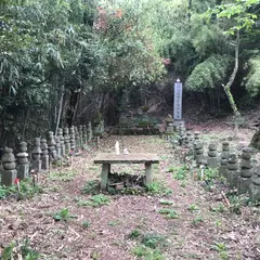 常山（児島富士）
