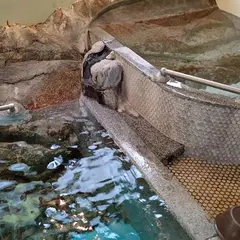 湯岐温泉共同浴場 岩風呂