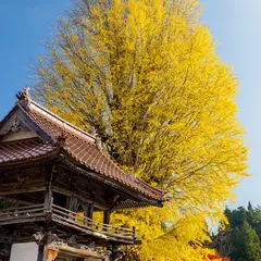 西教寺
