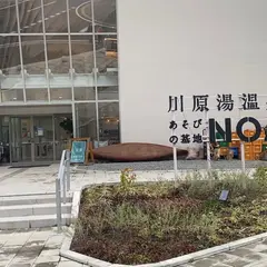川原湯温泉遊びの基地NOA