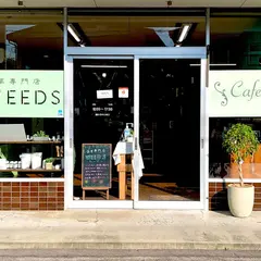 薬草専門店WEEDS-ウィーズ-
