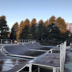 駒沢公園 スケートパーク
