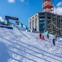 さっぽろ雪まつり大通り3丁目会場