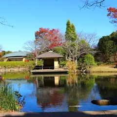 柏の葉公園 日本庭園