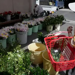 ＪＡ尾道市 向島支店