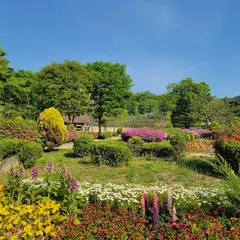 ソウル大公園