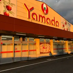 ヤマダストアー花田店