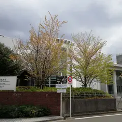 東京成徳大学