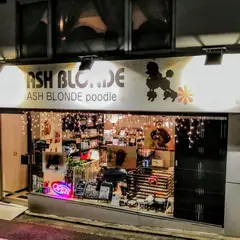 プードル専門店アッシュブロンドプードル