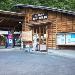 道の駅こすげ 物産館