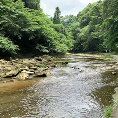 粟又の滝遊歩道（養老川）
