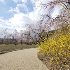 忍野しのびの里 日本庭園