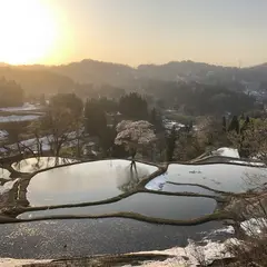 儀明の棚田