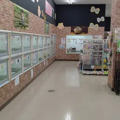 ペットショップ ビーウエスト 横浜港北センター南店