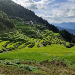 泉谷棚田