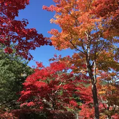金沢公園