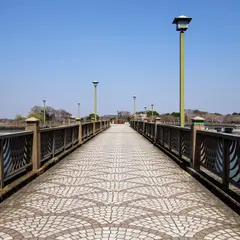 砂沼広域公園 砂沼大橋