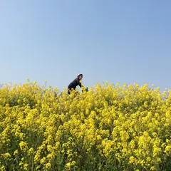 江戸川土手