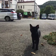 中ノ沢温泉 いろり湯の宿 大阪屋