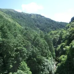 犬鳴山渓谷