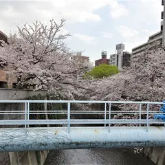 曙橋