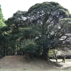 三屋神社旧跡地