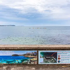 Cabbage Tree Bay Aquatic Reserve