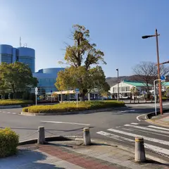 大字寄居