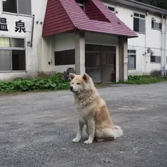 オソウシ温泉