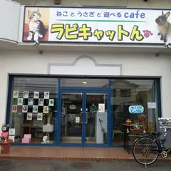 猫カフェ・うさぎカフェ ラビキャットん